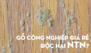 Nguy hại từ những tấm ván gỗ công nghiệp giá rẻ - Nội thất Anh Vũ